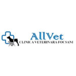 GRALVET STAR SRL
